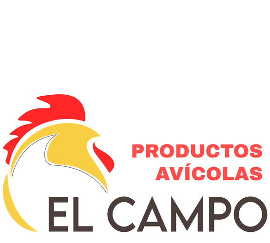 Imagen no encontrada